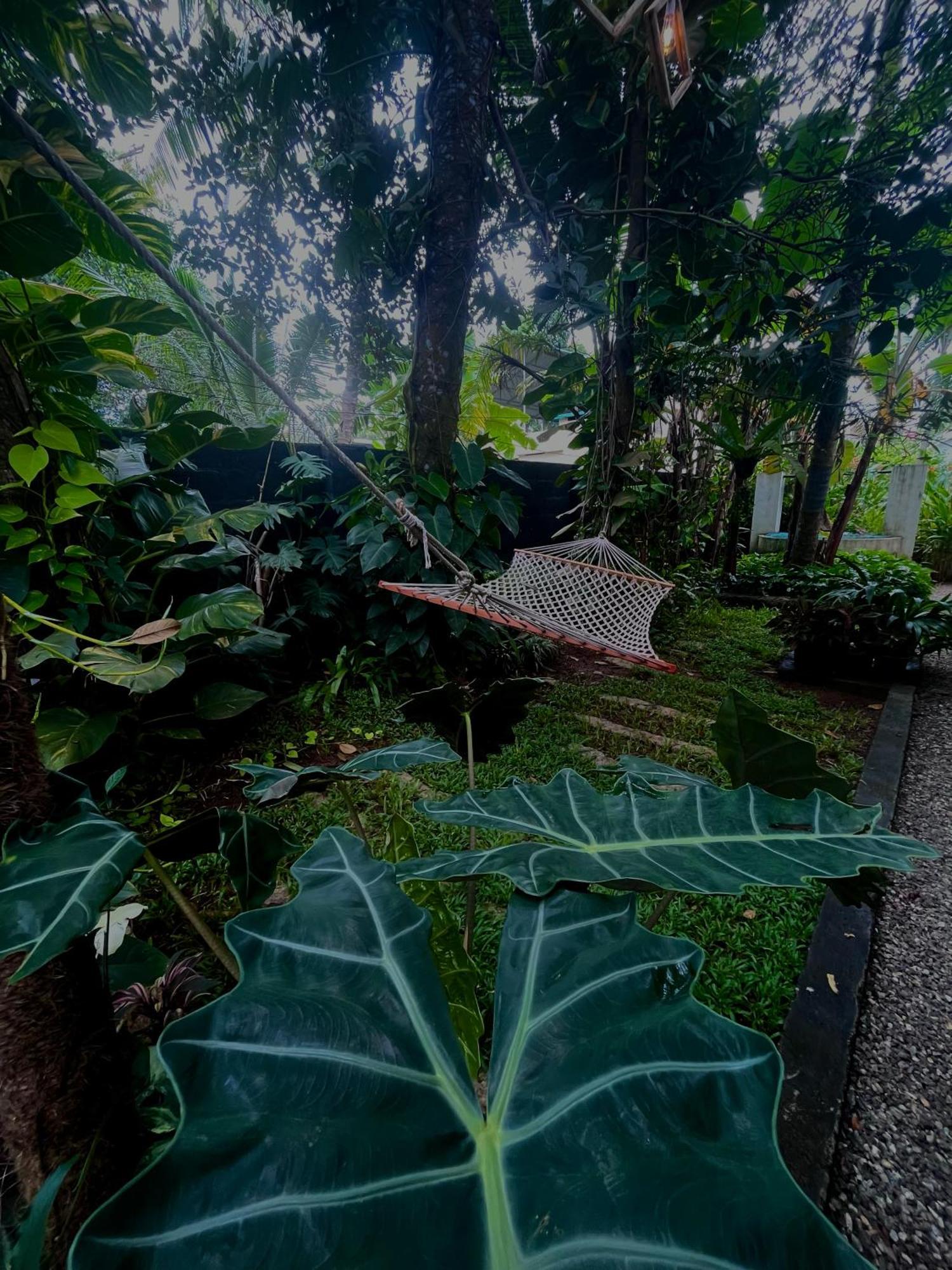 Bodhi Garden Villa In Varkala Eksteriør bilde